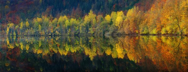 Fotografie de artă Autumnal silence, Burger Jochen, (60 x 23.2 cm)