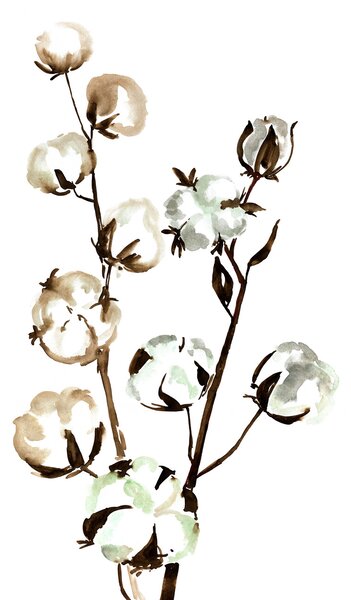 Ilustrare Watercolor cotton branches, Blursbyai, (30 x 40 cm)