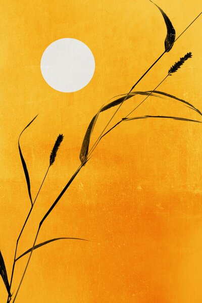 Ilustrație Sunny Days, Kubistika, (26.7 x 40 cm)