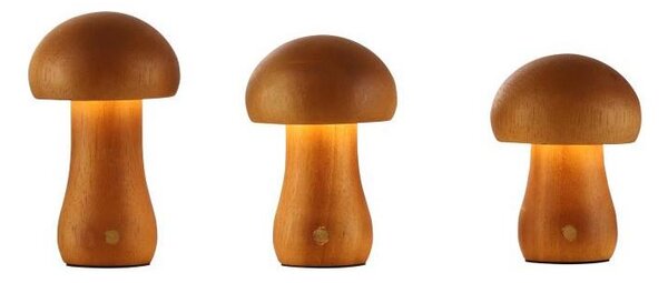 Searchlight EU34125NA - Set de 3 lămpi de masă LED MUSHROOM, 1,1W/5V