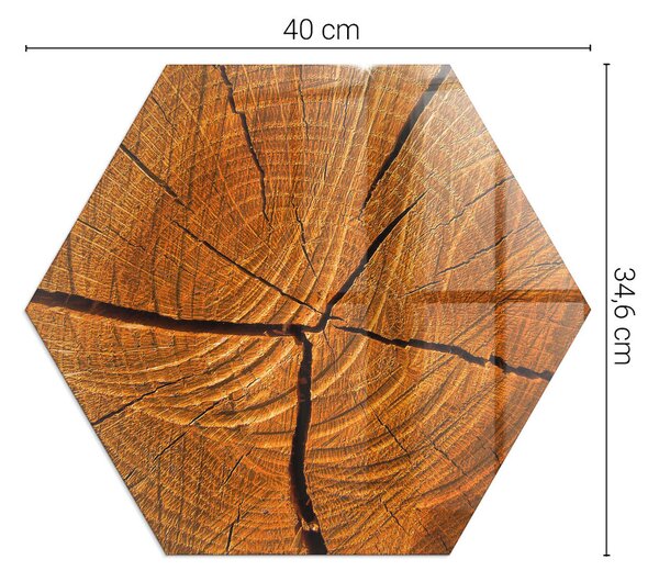 Placă hexagonală din sticlă pentru șemineu Lemn în secțiune transversală cu fibre naturale