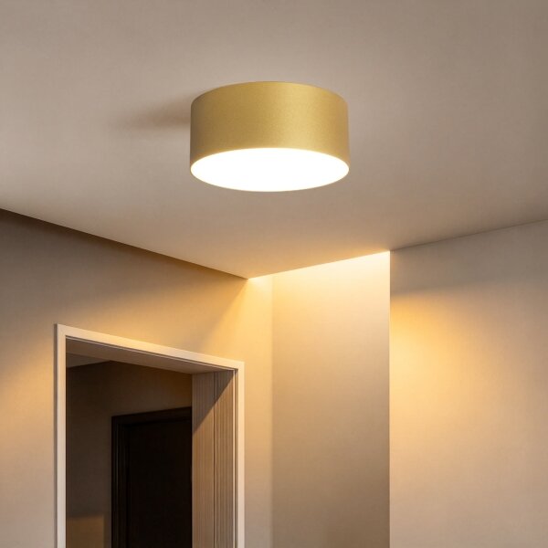 BRILAGI - LED Plafonieră de exterior FORIS LED/20W/230V diam. 15 cm auriu IP44