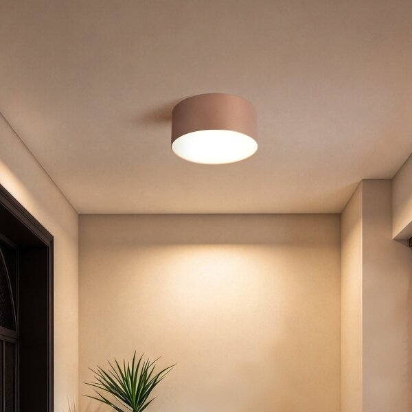 BRILAGI - Plafonieră LED pentru exterior FORIS LED/14W/230V, diametru 12 cm, bronz, IP44