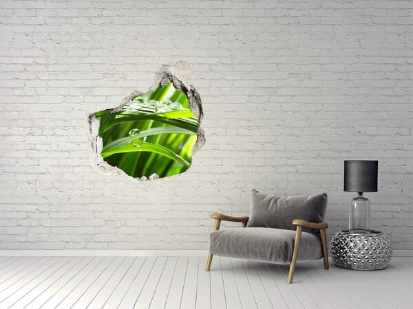 Autocolant de perete gaură 3D Pajiște verde cu picături de apă