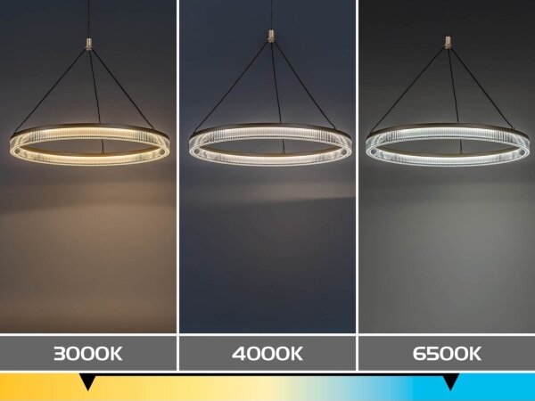 Rabalux 72471 - Lustră LED dimabilă pe cablu RIVONA LED/24W/230V 3000-6500K+telecomandă