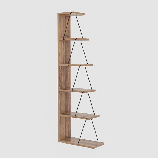 Biblioteca Tlos Pine-Negru
