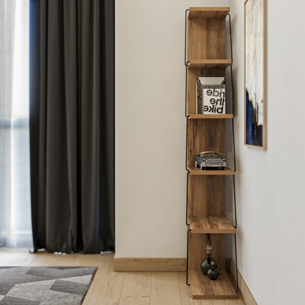 Biblioteca Tlos Pine-Negru