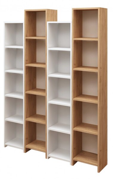 Biblioteca Semm Oak-Alb