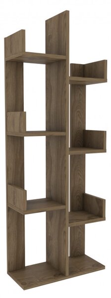 Biblioteca Luisa - Oud Oak