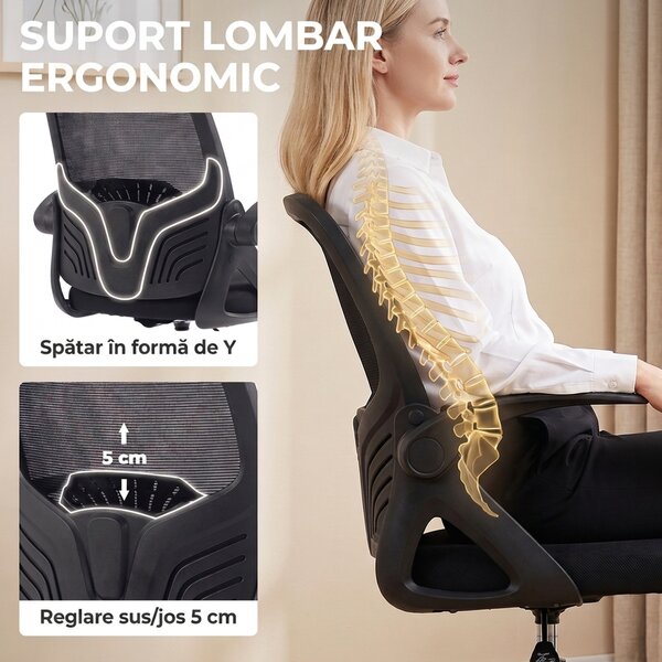 HOMCOM Scaun de Birou Ergonomic din Plasă, cu Suport Lombar și Suport pentru Picioare Reglabil, Cotiere Rabatabile, Negru | Aosom Romania