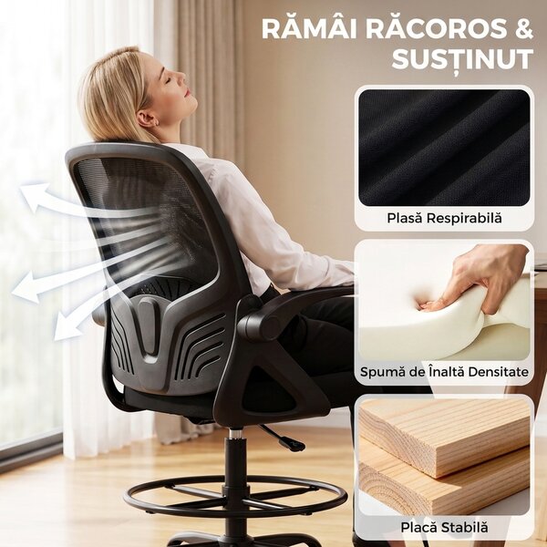 HOMCOM Scaun de Birou Ergonomic din Plasă, cu Suport Lombar și Suport pentru Picioare Reglabil, Cotiere Rabatabile, Negru | Aosom Romania