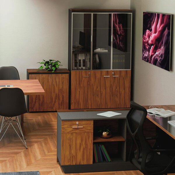 Biblioteca Oscar cu usi din sticla de culoare nuc - anacit 120x40x200cm