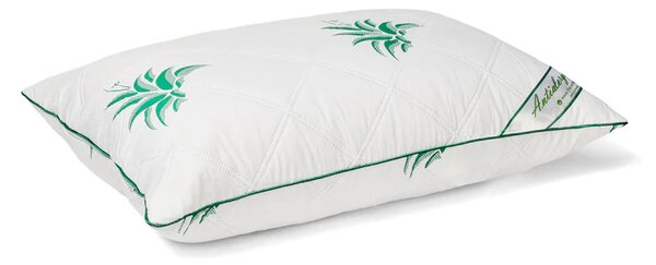 Perna Antialergica Matlasata Aloe Vera 50x70