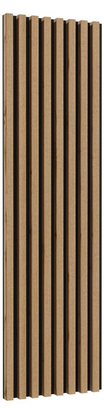 Panou de perete Celcey Typ 02 (Stejar wotan + Negru). Promo -15%. 1108320