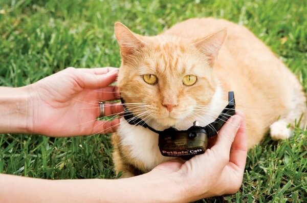 PetSafe® Extra Collar pentru pisici DeluxeUltralight