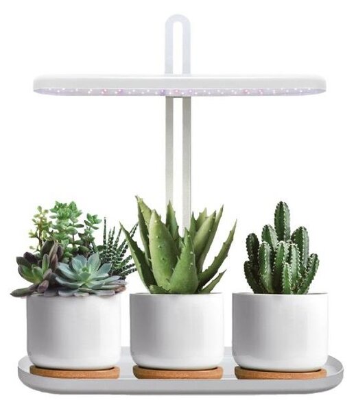 Lampă de masă LED cu reglaj al intensității pentru cultivarea plantelor VERDI, 12W, 230V, 4500K