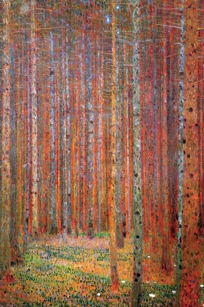 Poster Pădure de brad, (61 x 91.5 cm)