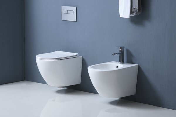 Set vas WC si bideu suspendat, Fluminia Ricci, alb
