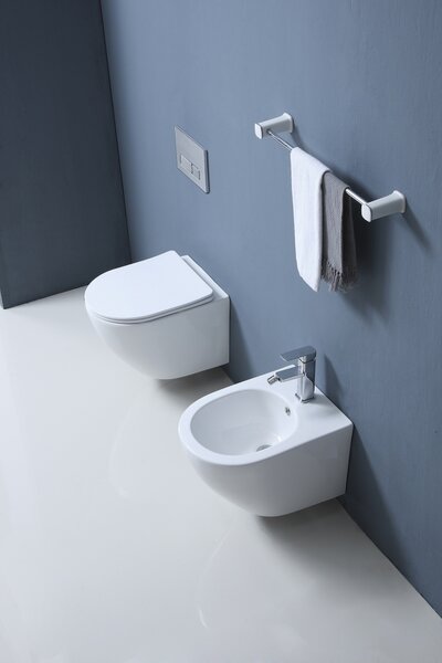 Set vas WC si bideu suspendat, Fluminia Ricci, alb