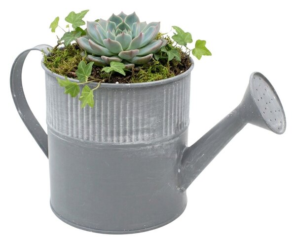 Ghiveci metalic stropitoare 13x25cm gri