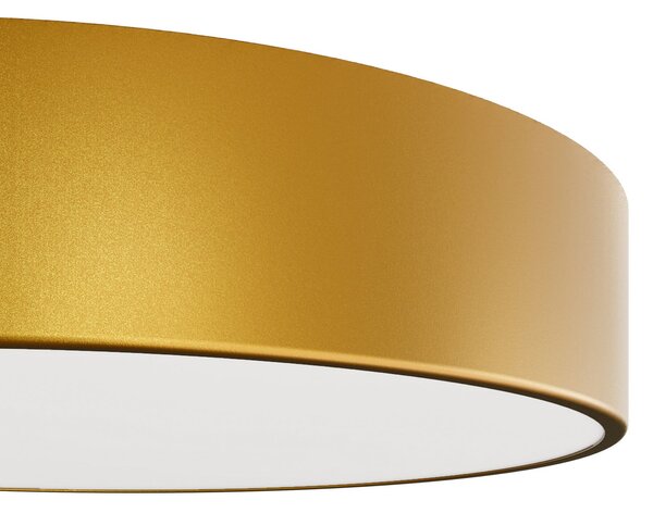 TEMAR LIGHTING Plafonieră Cleo 300, auriu, senzor, IP20, Ø 30 cm, metal, Auriu / Alamă, Camera de zi / sufragerie, Metal