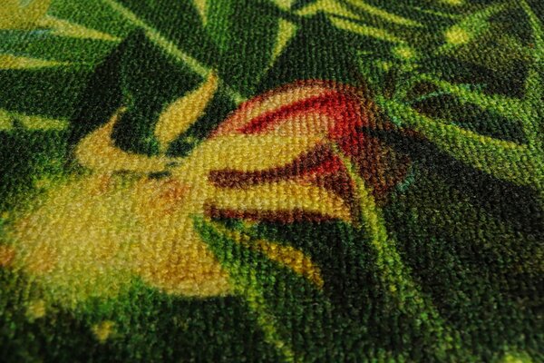 Model Copii, Fairy Song, Covor Dreptunghiular Turcia, Verde Verde, Dreptunghi, 100 x 150