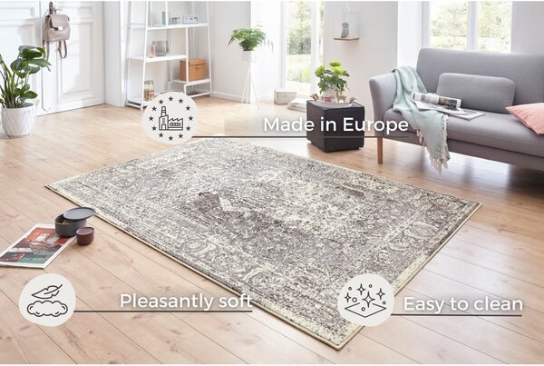 Covor Hanse Home Celebration Plume, 120x170 cm, gri-crem