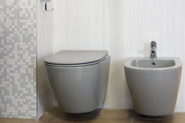 Set vas WC suspendat, Fluminia, Alfonzo, cu capac quick release si soft close, gri