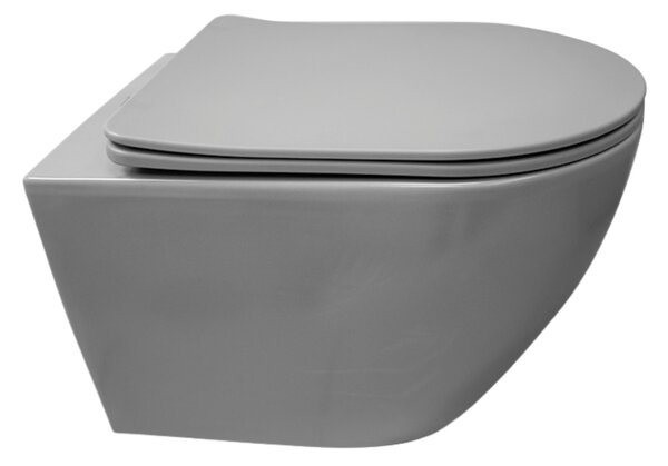 Set vas WC suspendat, Fluminia, Alfonzo, cu capac quick release si soft close, gri