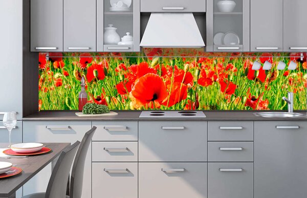 Fototapet pentru bucătărie - mac roșii 260 x 60 cm
