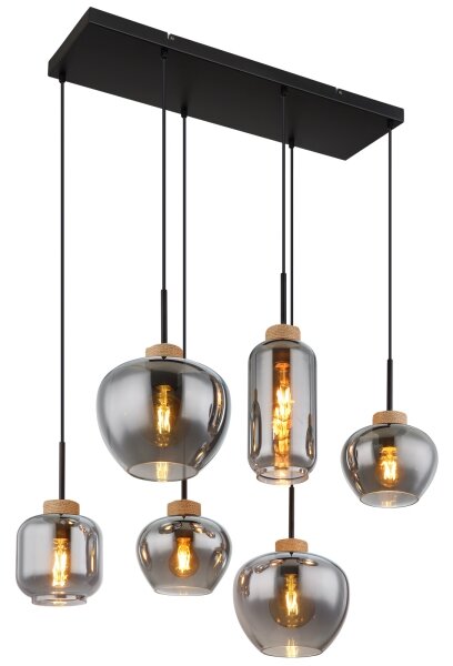 Globo 15549-6H - Lustru suspendat pe cablu MATT 6xE27/40W/230V, negru