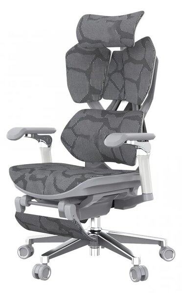 Scaun ergonomic SIHOO X5 PRO-301, cotiere 6D, suport lombar reglabil, tetiera 3D, Sezut cu translație, mecanism multifunctional inclinare/blocare, suport picioare, pivotant, Mesh, Gri
