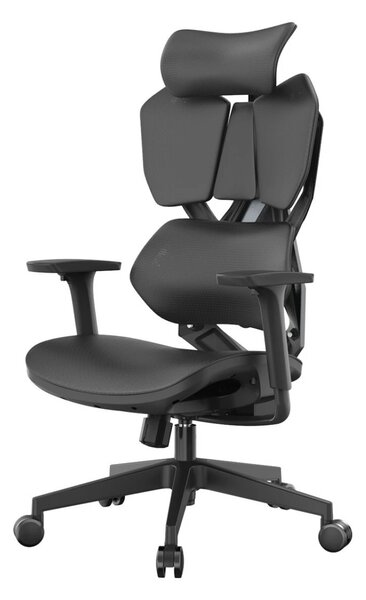 Scaun ergonomic SIHOO X5C-202, cotiere 3D, suport lombar reglabil, tetiera 3D, mecanism multifunctional inclinare/blocare, pivotant, Mesh, Negru