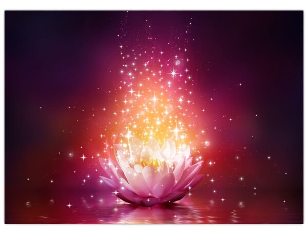 Tablou cu floare de lotus (70x50 cm)