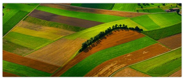 Tablou - Lan, luncile (120x50 cm)