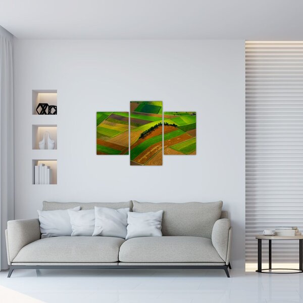 Tablou - Lan, luncile (90x60 cm)