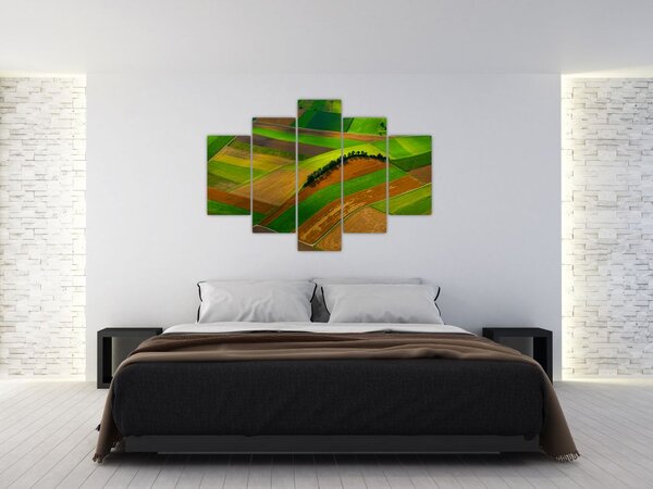 Tablou - Lan, luncile (150x105 cm)