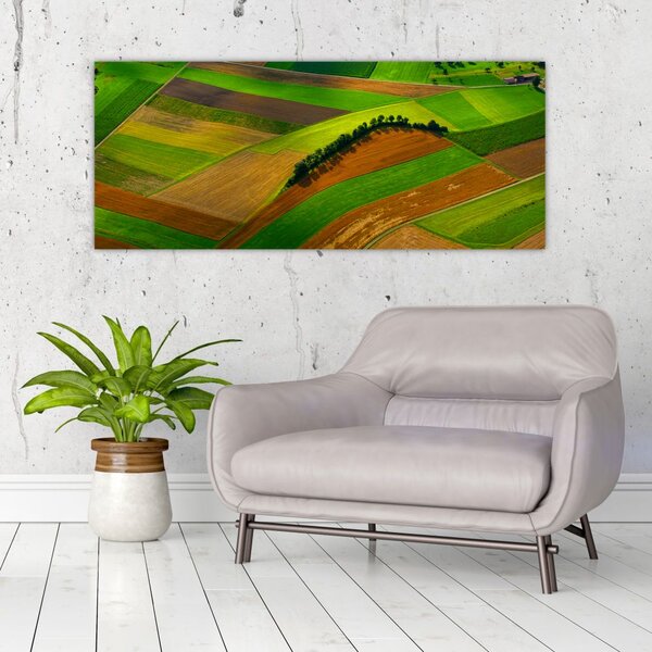Tablou - Lan, luncile (120x50 cm)