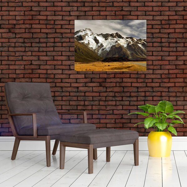Tablou cu mutele Sefton, Noua Zeealnda (70x50 cm)