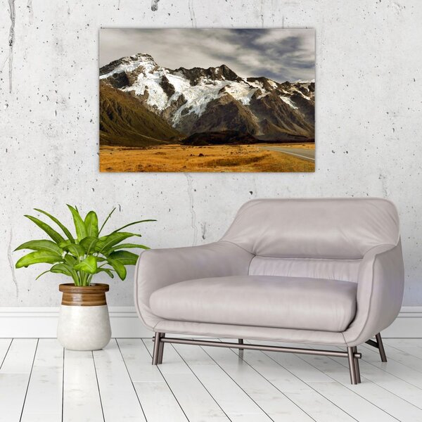 Tablou cu mutele Sefton, Noua Zeealnda (90x60 cm)