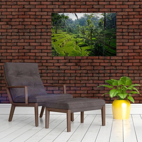 Tablou cu terasele cu orez Tegalalang, Bali (90x60 cm)
