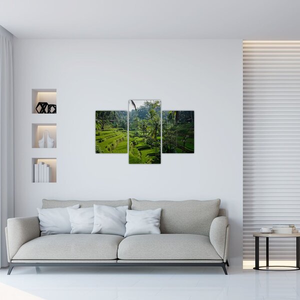 Tablou cu terasele cu orez Tegalalang, Bali (90x60 cm)