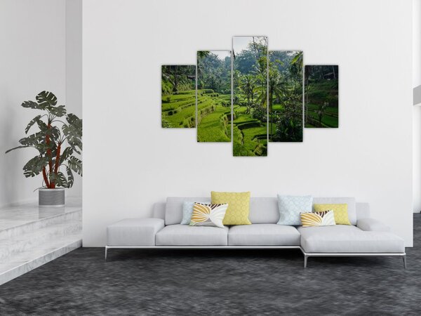 Tablou cu terasele cu orez Tegalalang, Bali (150x105 cm)