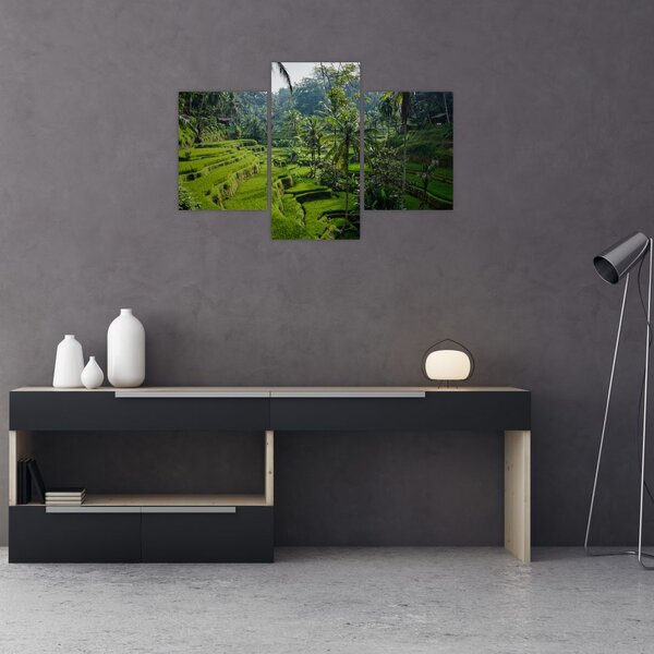 Tablou cu terasele cu orez Tegalalang, Bali (90x60 cm)