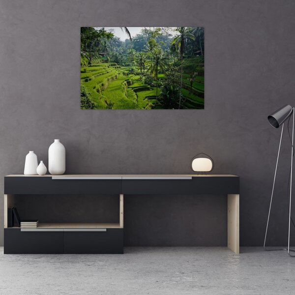 Tablou cu terasele cu orez Tegalalang, Bali (90x60 cm)