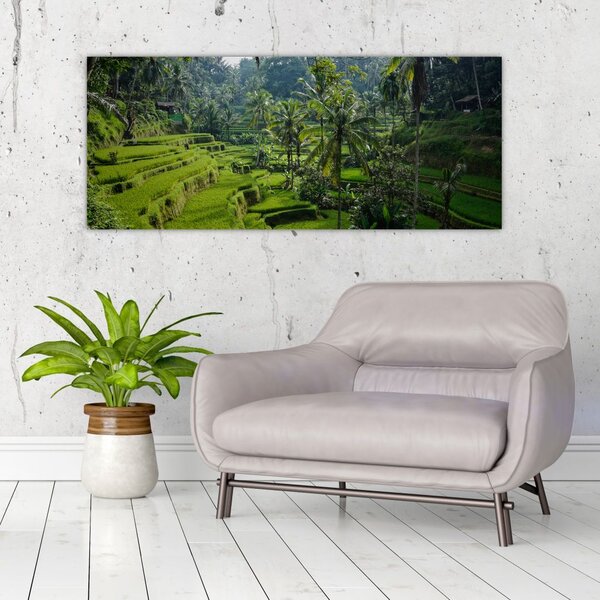 Tablou cu terasele cu orez Tegalalang, Bali (120x50 cm)