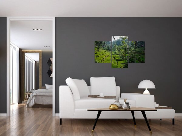 Tablou cu terasele cu orez Tegalalang, Bali (90x60 cm)