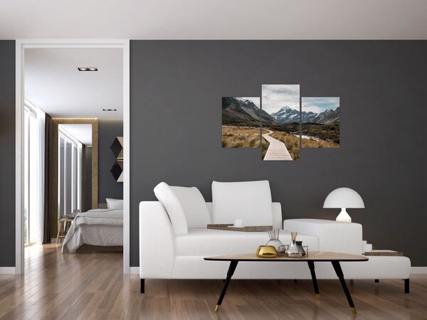 Tablou - Poteca în valea muntelui Mt. Cook (90x60 cm)