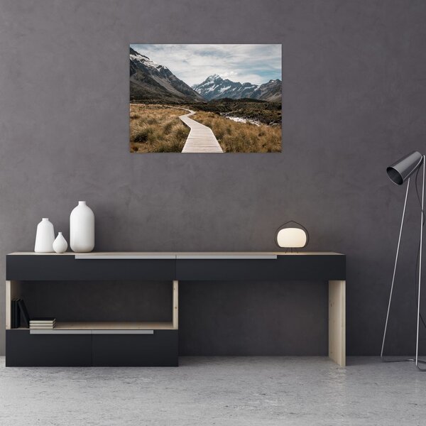 Tablou - Poteca în valea muntelui Mt. Cook (70x50 cm)