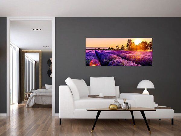 Tablou cu câmp de lavandă, Provincie (120x50 cm)